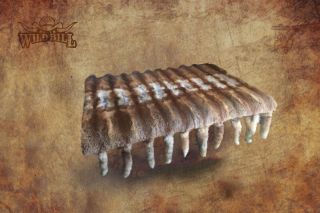 Dywan z lisa rudego 
uszyty jest z 20 lisów