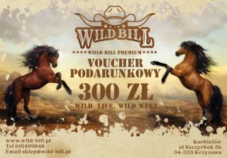 VOUCHER
Wartość - 300 zł